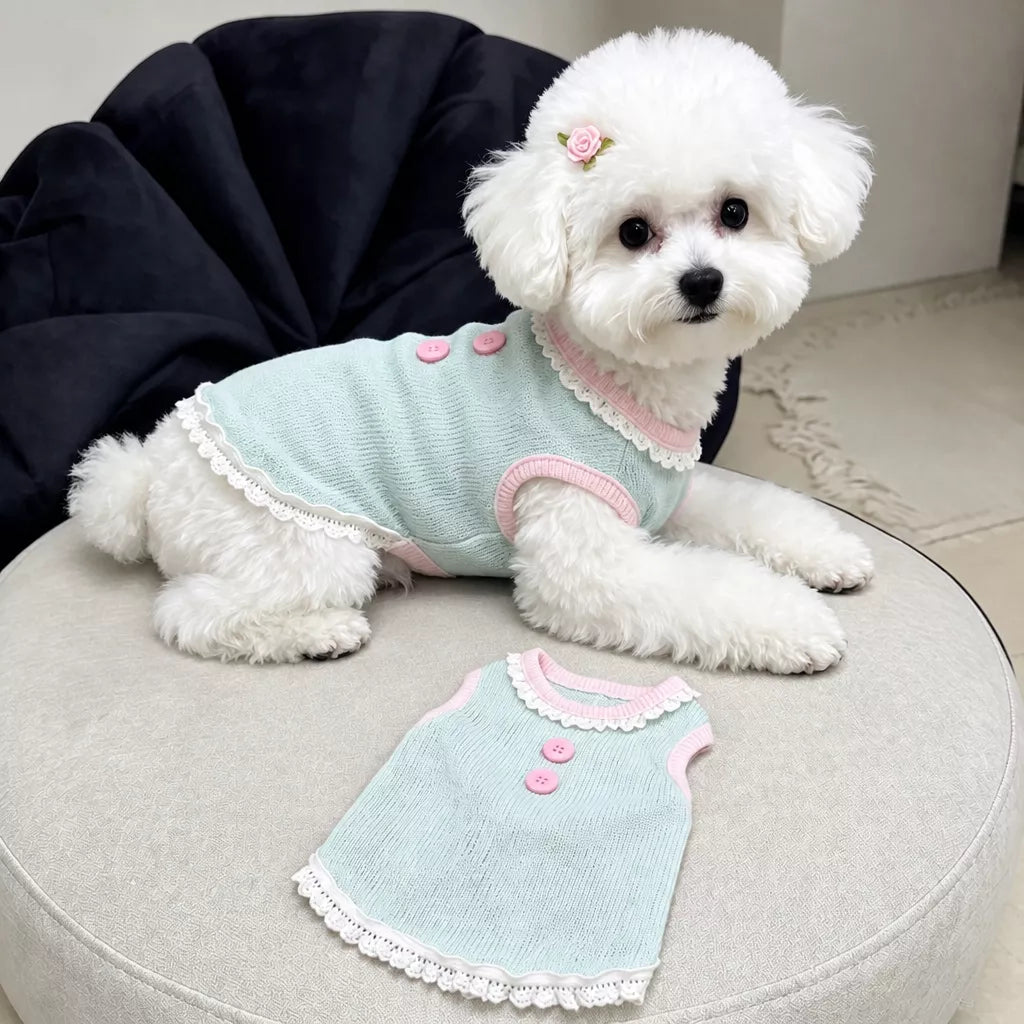 Pet Tank Tops and Strappy Dresses