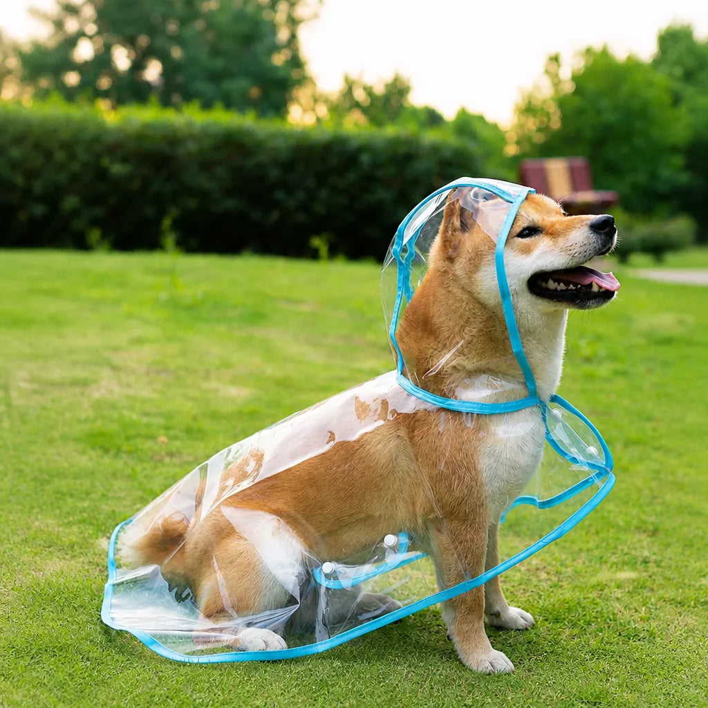 Transparent EVA Raincoat for Dogs