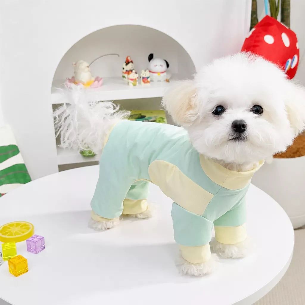Lightweight Four-Leg Mesh Dog Shirt for Small & Medium Dogs