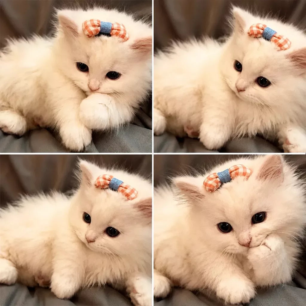 Pet Bow Hair Clips for Dogs and Cats