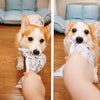 Crinkle Newspaper-Style Dog Toy for Interactive Play