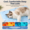 Pet Foam Bed with Nylon Cover