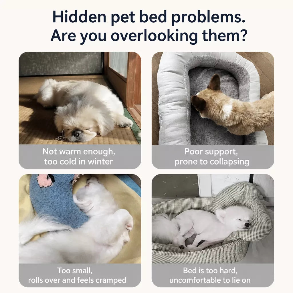 Covered Dog Bed