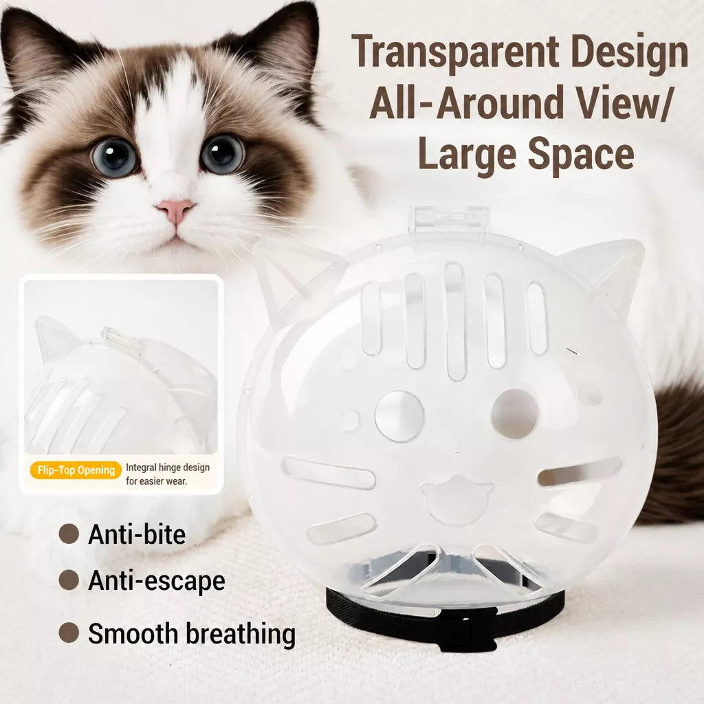 Plastic Recovery Cone for Cats During Grooming and Care