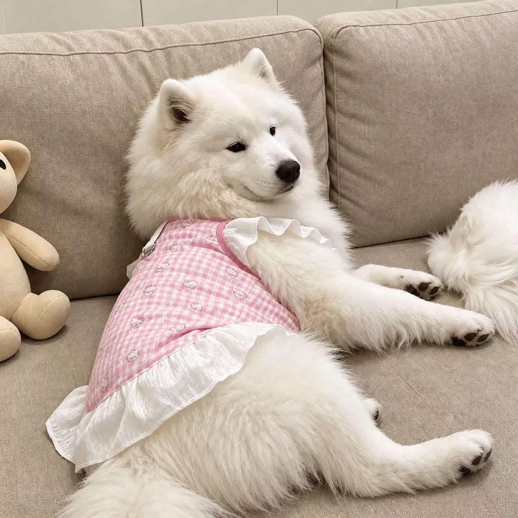 Lightweight Mesh Dog Dress for Warm-Weather Lounging