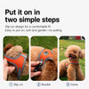 Small Dog Harness and Leash Set