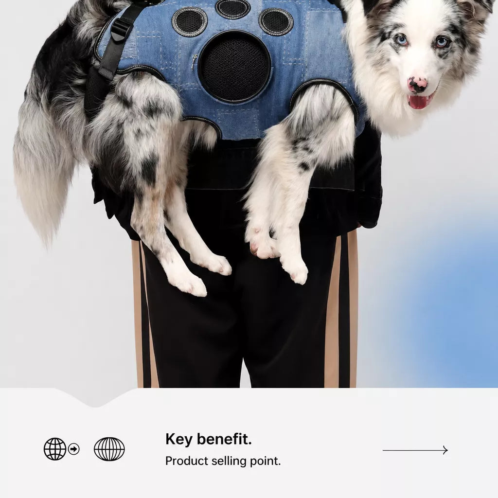Pet Side-Carry Carrier for Dogs and Cats