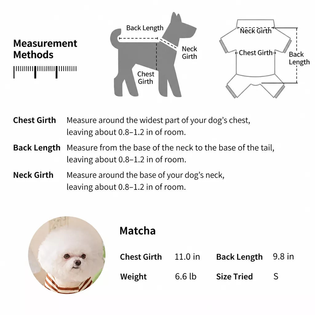 Teddy Bear Four-Leg Pet Outfit for Small Dogs & Cats