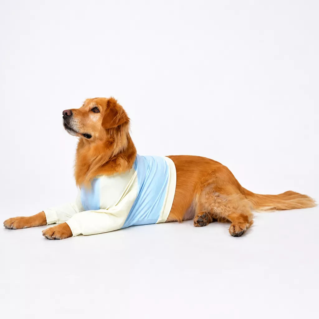 Lightweight Summer Dog Shirt for Medium to Large Breeds