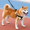 Adjustable Nylon Dog Harness with Leash Option