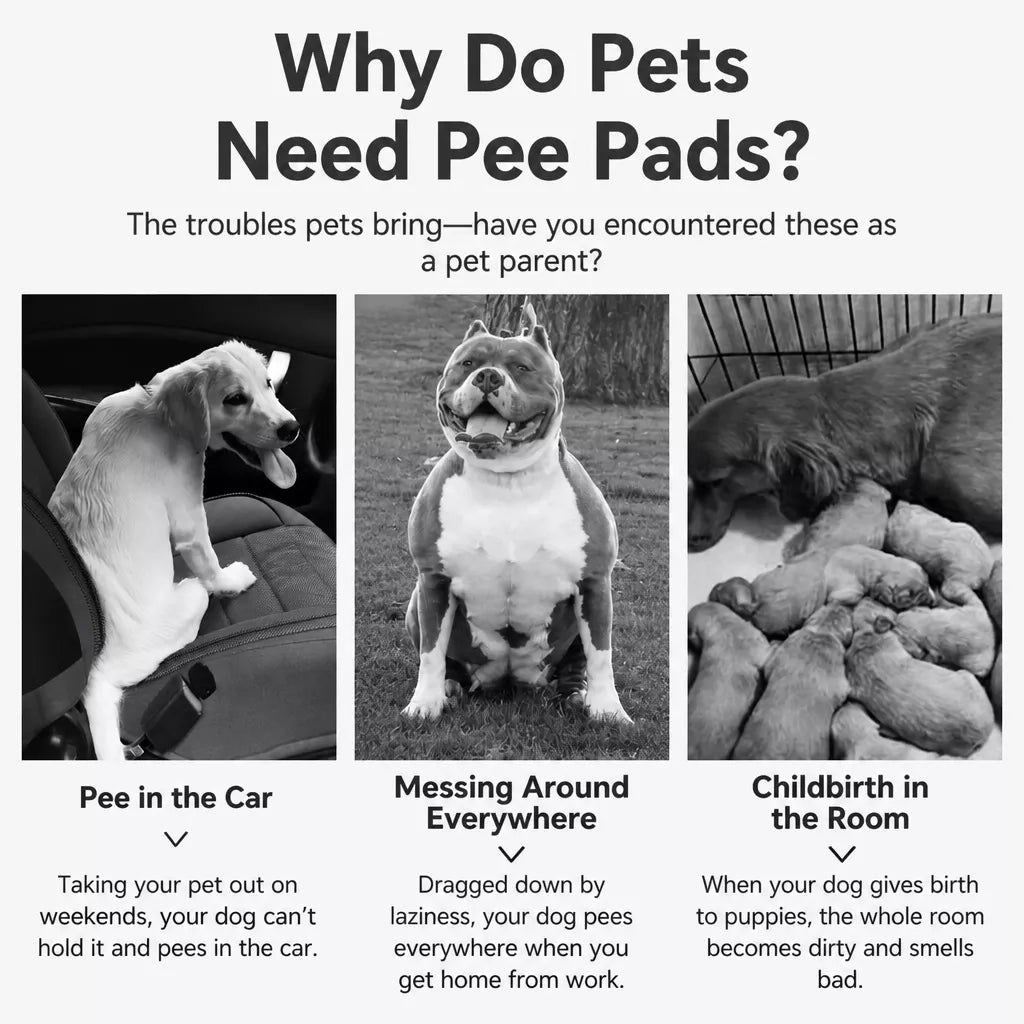 Cotton Pet Training Pad for Dogs, Cats & Small Pets