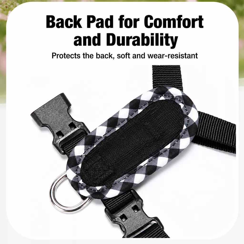 Dog Harness with 6.6-Ft Leash