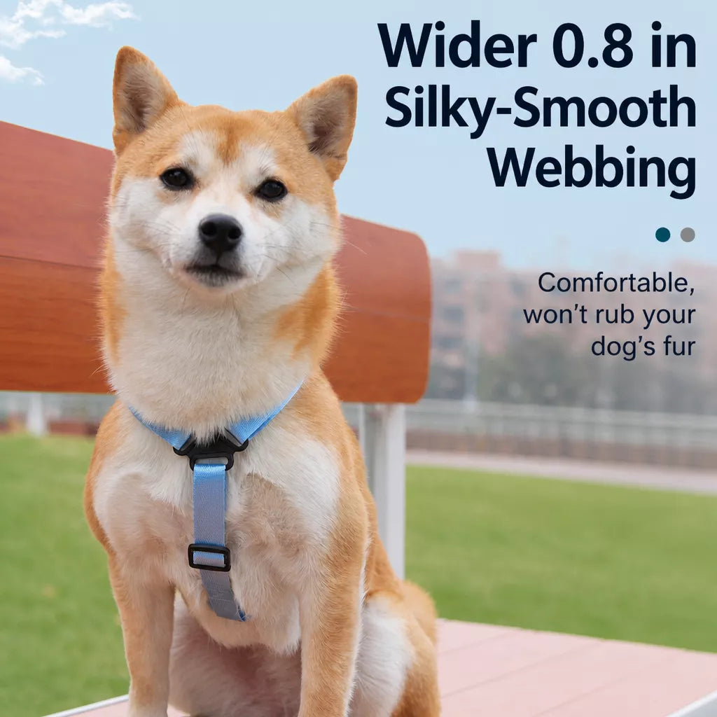 Pet Carrier Backpack for Small Dogs