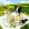 Lightweight Four-Leg Dog Shirt