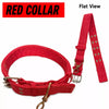 Adjustable Nylon Dog Harness and Leash Set for Everyday Walks