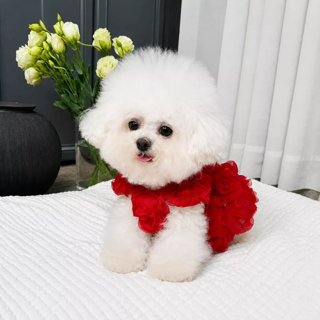 Pet Summer Dress with Suspender-Style Straps