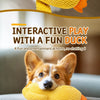 Plush Squeaky Dog Toys