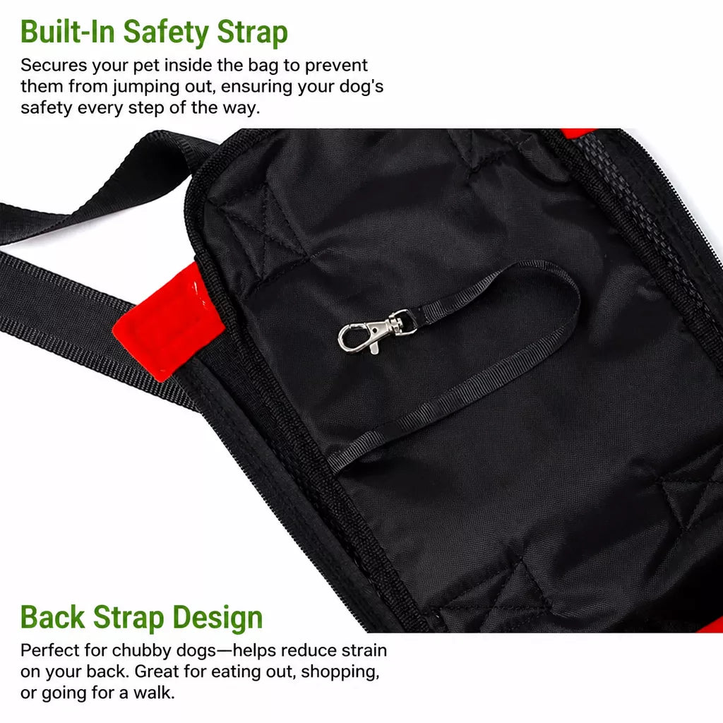 Mesh Pet Carrier Backpack for Cats and Small Dogs