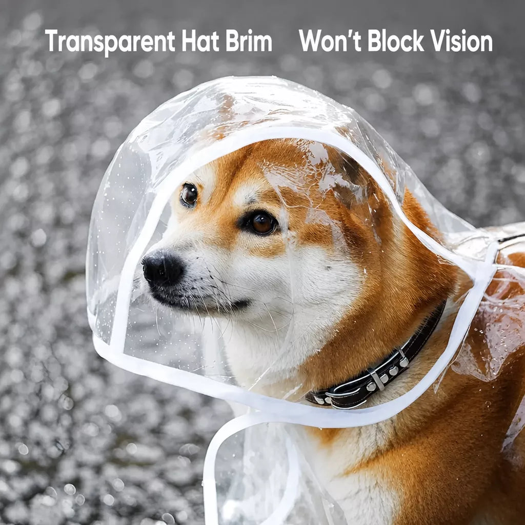 Transparent Hooded Raincoat for Dogs