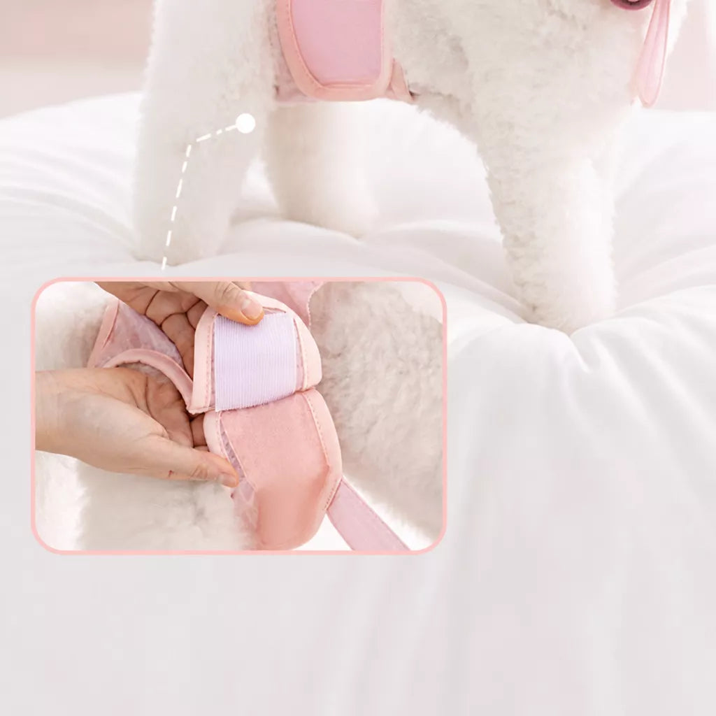 Female Dog Diaper Pants