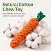 Interactive Rope Dog Toy for Small and Medium Dogs