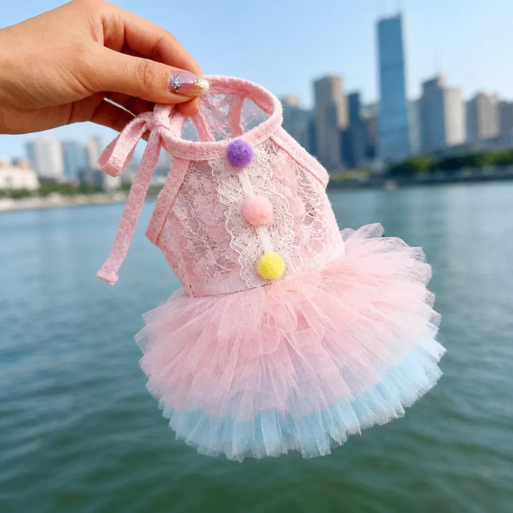 Lace Pet Dress with Gradient Full Skirt for Small Dogs and Cats
