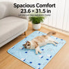 Pet Foam Bed with Nylon Cover