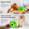 Vinyl Squeaky Dog Ball Toy