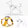 Nylon Dog Walking Harness