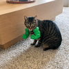 3D-Printed Arm-Inspired Neck Accessory for Cats and Dogs