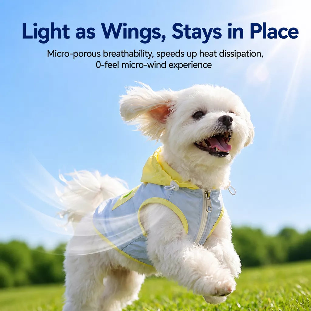 Summer Pet Shirt for Small Dogs