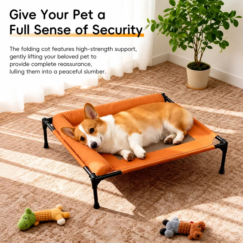 Raised Dog Cot Bed with Iron Frame