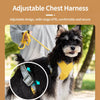 X-Style Dog Harness and Leash Set