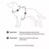 Nylon Harness with Integrated Retractable Leash for Dogs