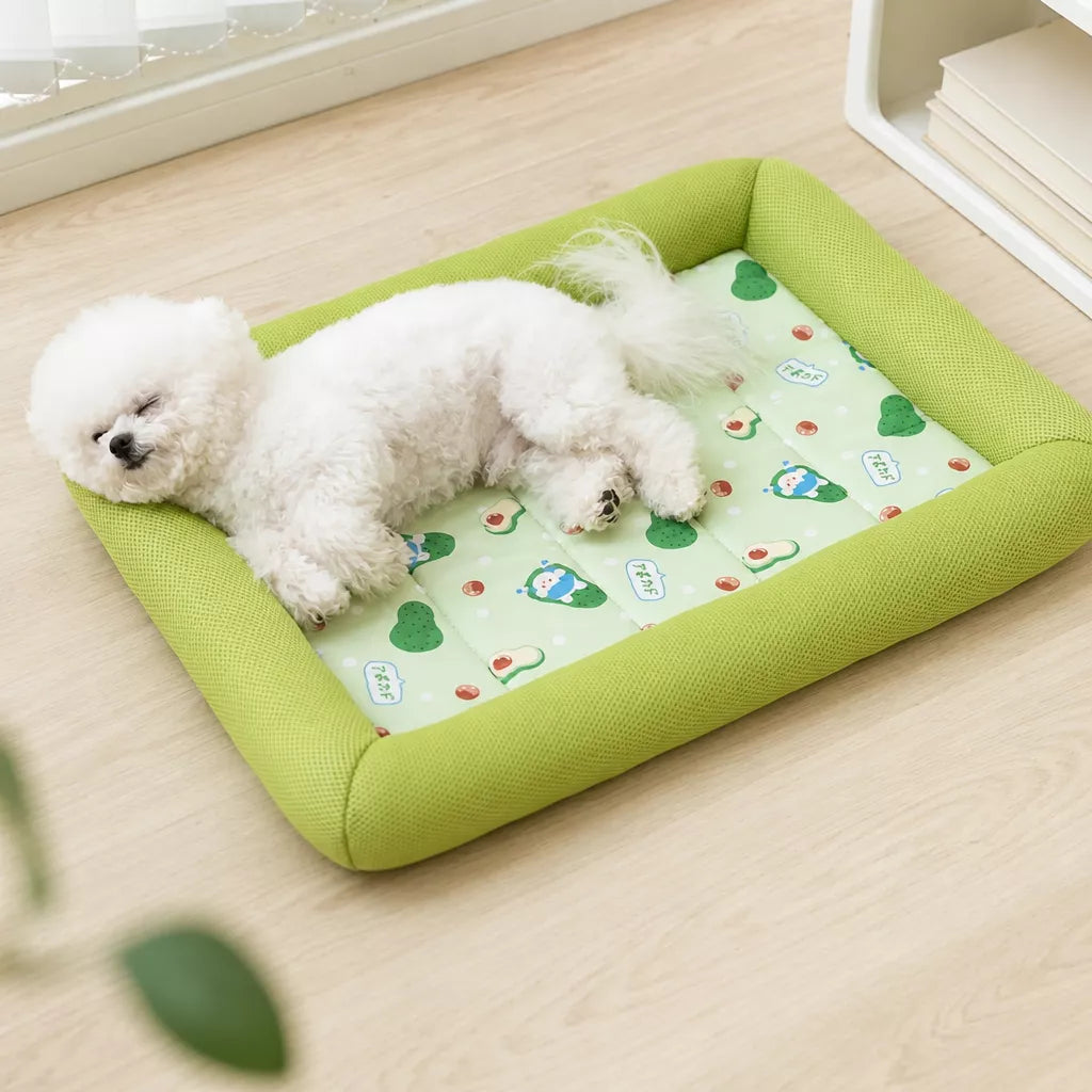Washable Pet Bed for Dogs with Removable Cover