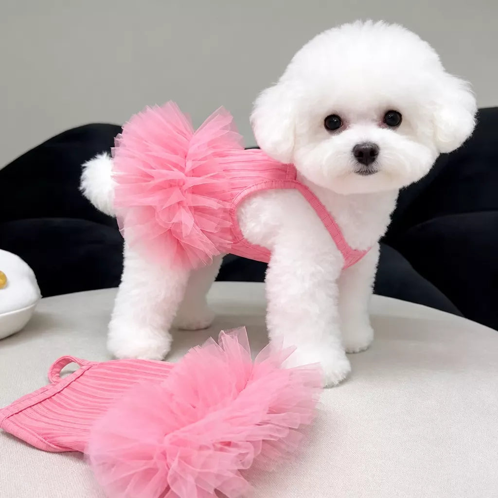 Pet Dress for Small Dogs and Cats