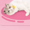 Wooden Cat Teaser Wand Toy with Bell and Colorful Attachments