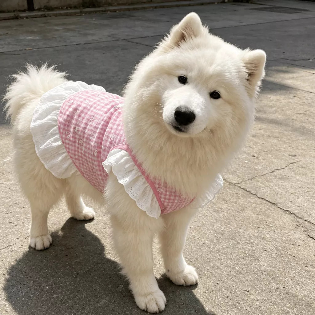 Lightweight Mesh Dog Dress for Warm-Weather Lounging