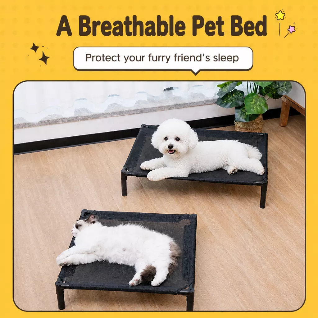 Elevated Dog & Cat Bed with Removable, Washable Pad