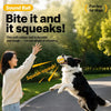 Vinyl Squeaky Dog Ball Toys for Small and Medium Dogs