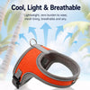 Small Dog Harness and Leash Set