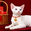 Red Chinese New Year Pet Collar with Lucky Charm