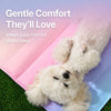 Scratch-Resistant Pet Rest Mat for Dogs & Cats
