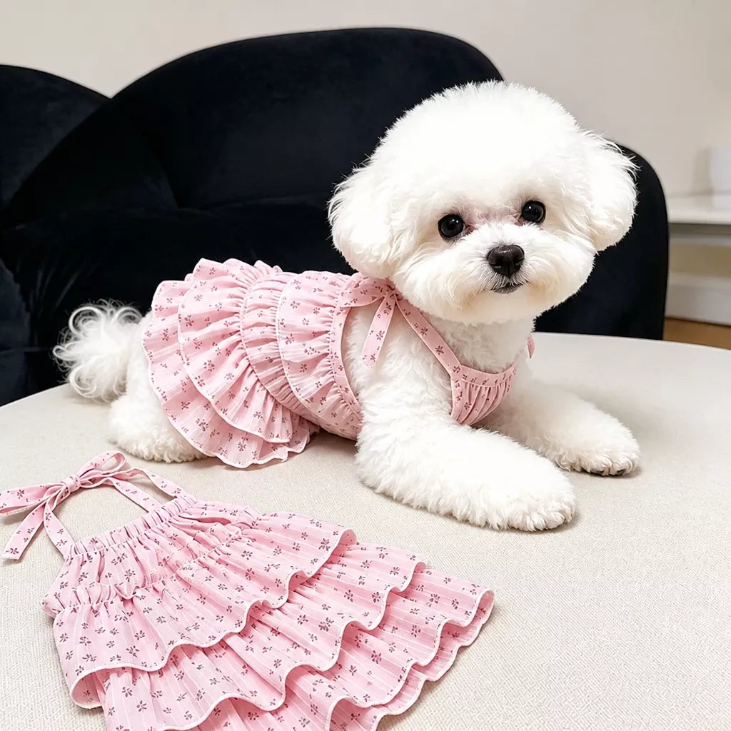 Cotton Pet Dress with Tiered Skirt