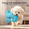 Plush Squeaky Dog Toy for Chewing & Interactive Play
