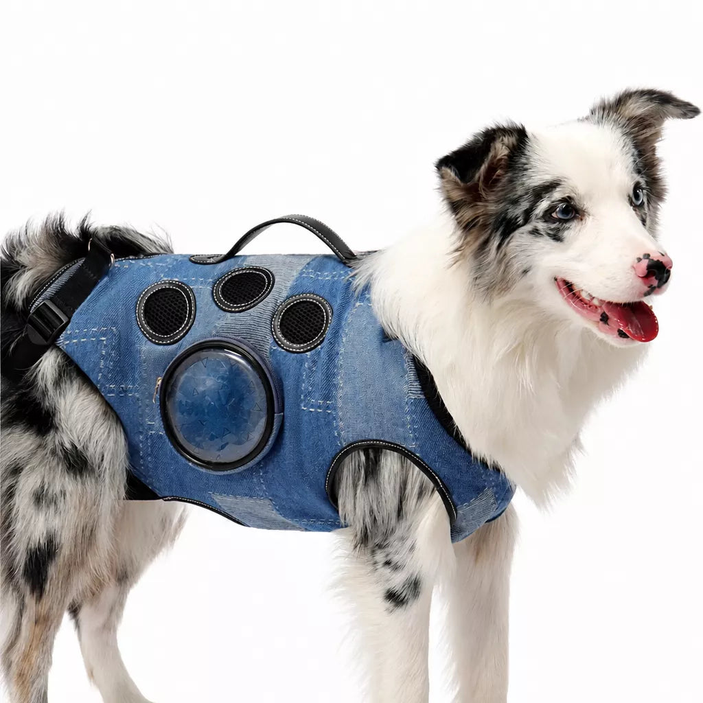 Pet Side-Carry Carrier for Dogs and Cats