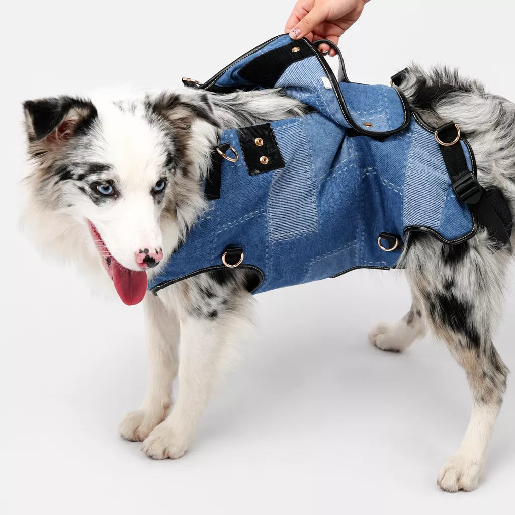 Pet Side-Carry Carrier for Dogs and Cats