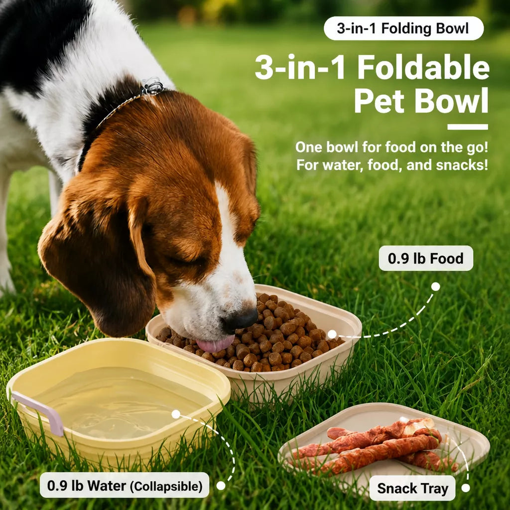 Foldable Double Pet Bowl with Snack Tray