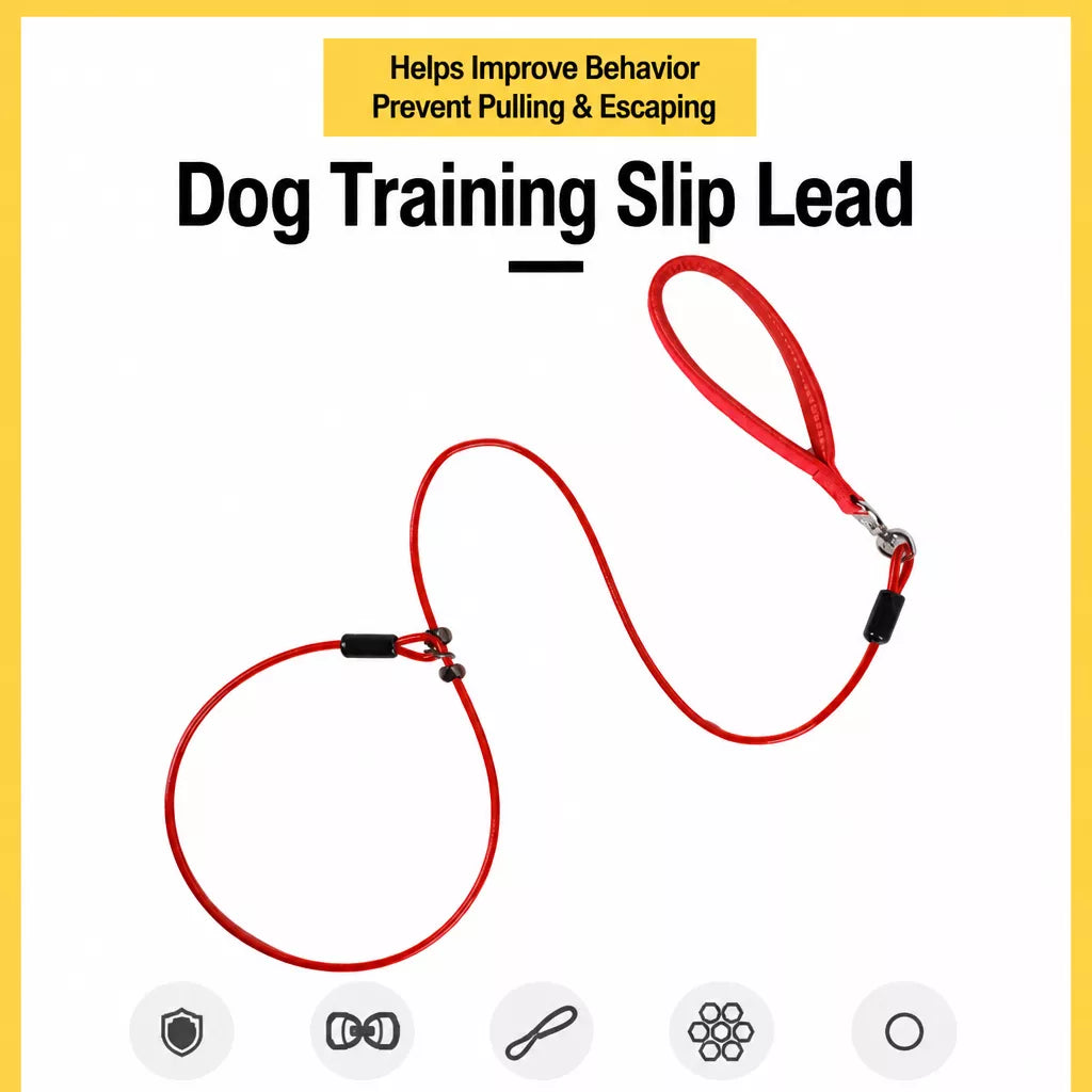 Steel Wire Dog Training Leash