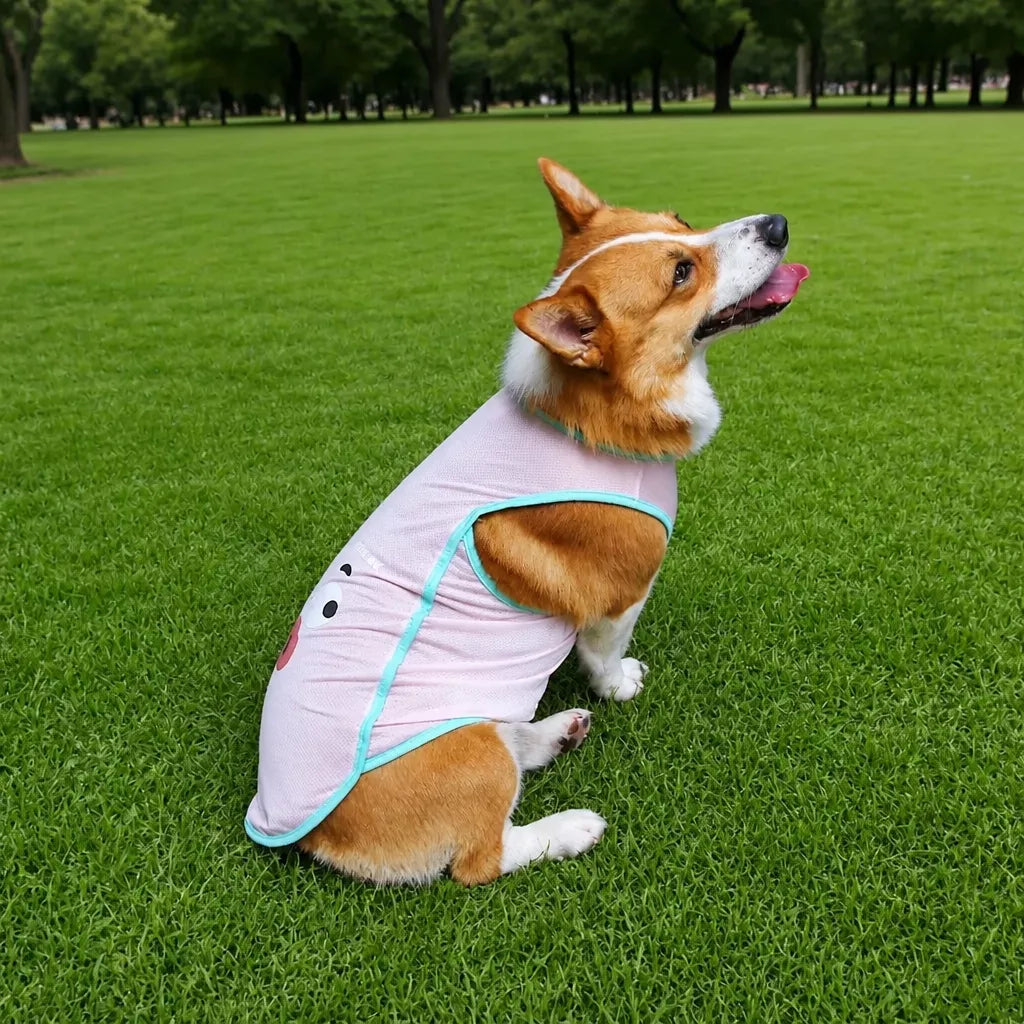 Lightweight Summer Pet Vest for Dogs and Cats